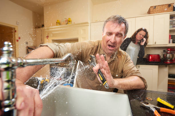 Best Water damage mitigation services  in USA